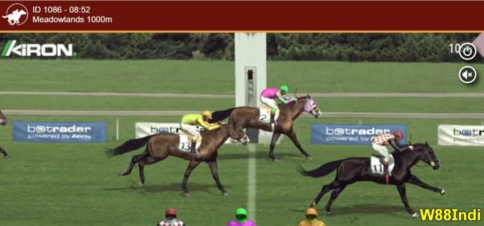 การแข่งม้า เดิมพันทุกอย่าง